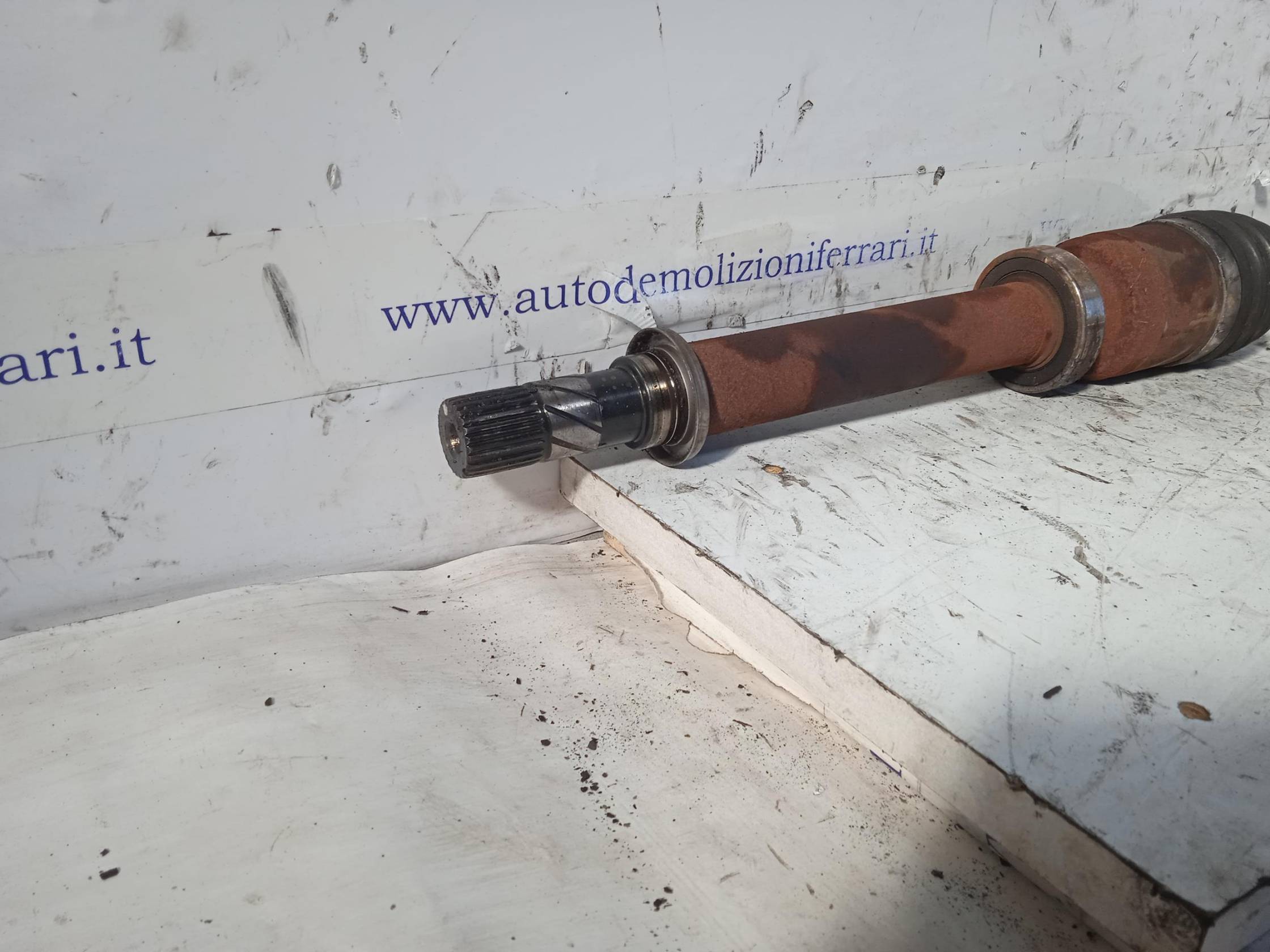 Semialbero ant. compl. dx.